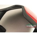 Carbonvani - Ducati Panigale / Streetfighter V4 / V2 / S / R / Speciale Carbon Fiber Tail - RED - Road Version Carbonvani - Ducati Panigale / Streetfighter V4 / V2 / S / R / Speciale Carbon Fiber Tail - RED - Road Version